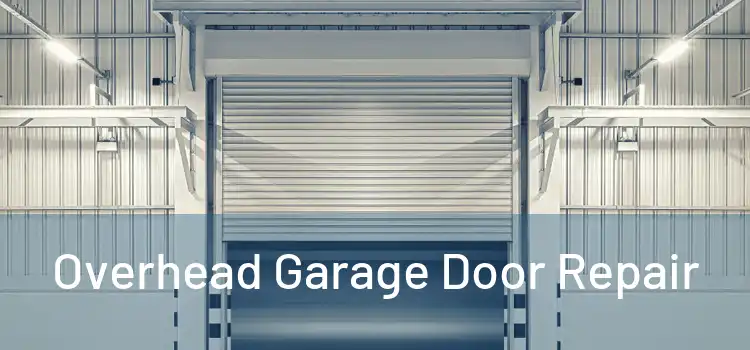 Overhead Garage Door Repair 