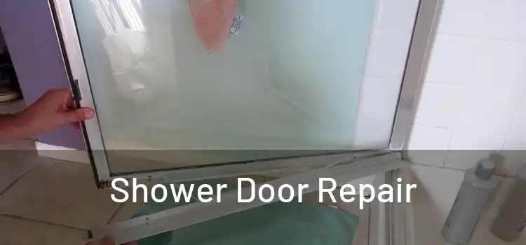  Shower Door Repair 